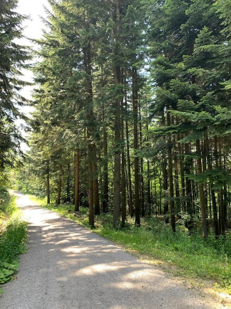 Marzeniec W Beskidzie Niskim Wapienne Exterior foto